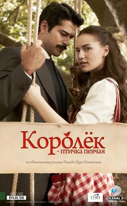 Постер Королёк – птичка певчаяÇ (2013)
